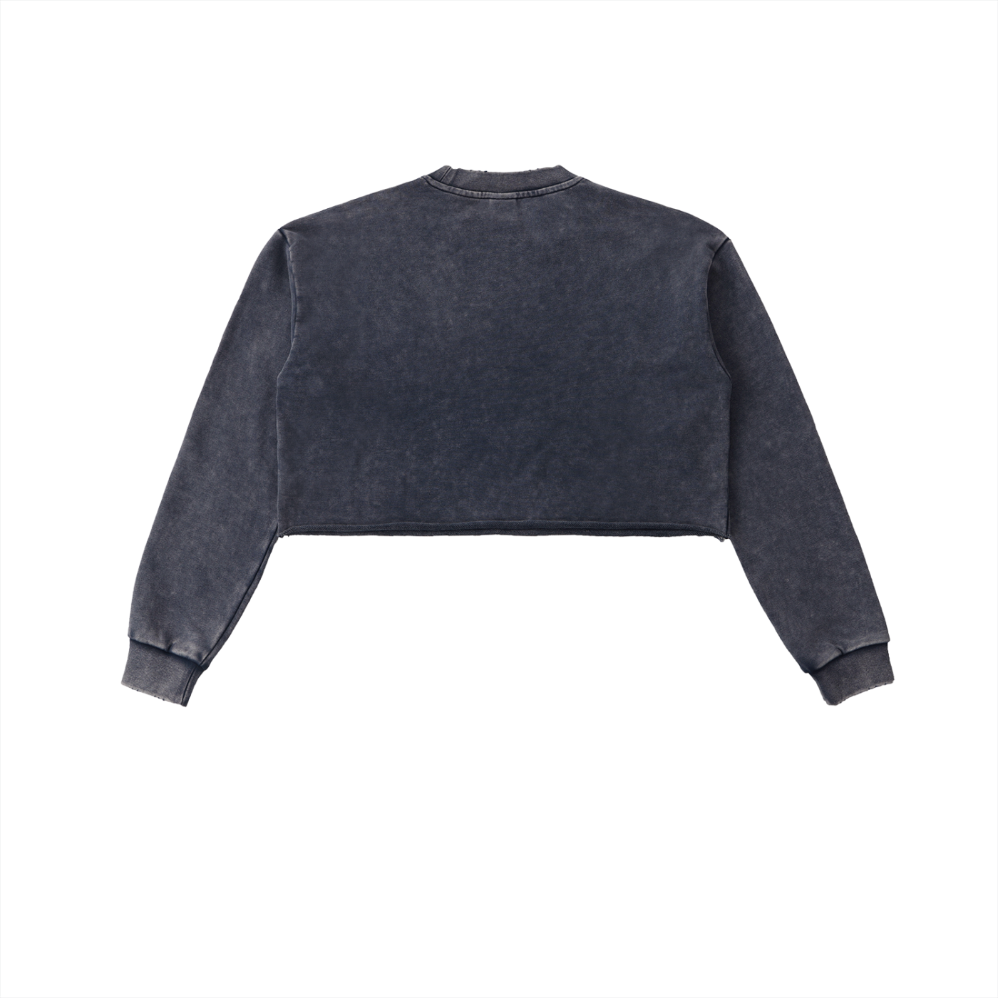 SHE MOVED LIKE MONEY - Snow Washed Raw Edge Cropped Sweatshirt