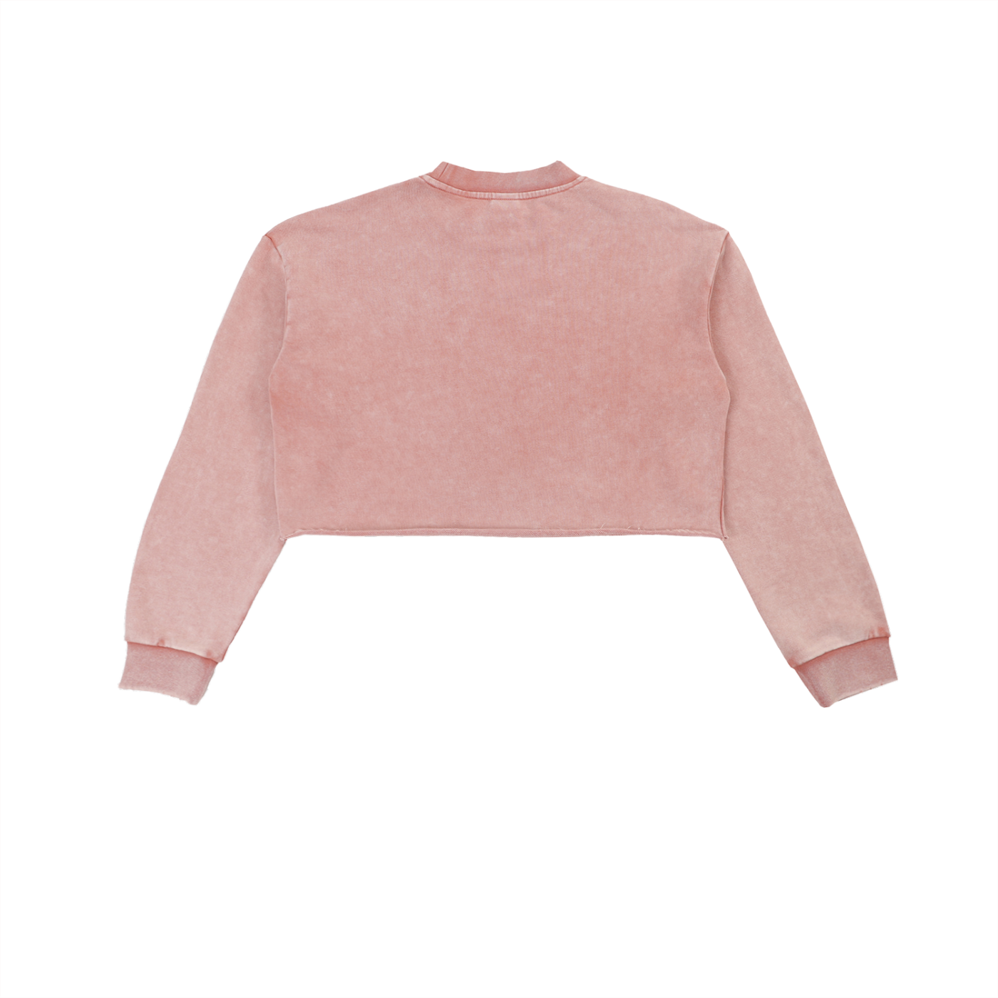 SHE MOVED LIKE MONEY - Snow Washed Raw Edge Cropped Sweatshirt